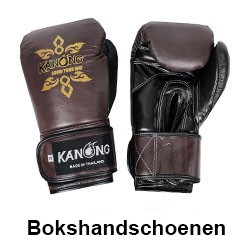 Bokshandschoenen
